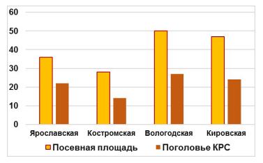 нефедова_9.JPG